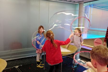 WhatsApp Image 2026-02-11 at 12.21.28 (2).jpeg